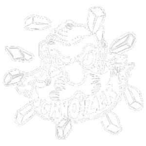 Schnoizer