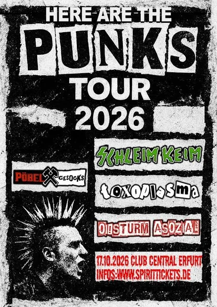 Here are the  Punks Tour 2026